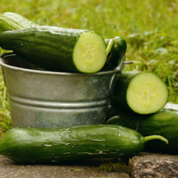 PEPINO ECOLÓGICO
