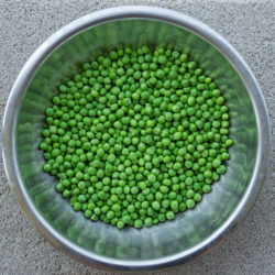 GUISANTES ECOLÓGICOS (para desgranar)