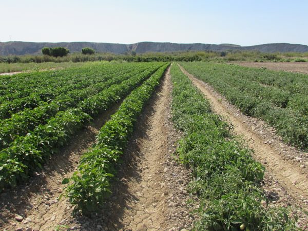 nuestros-campos-y-huertas