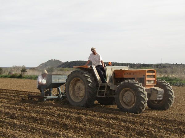 plantando-con-tractor